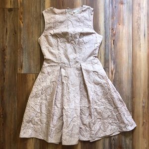 NWT Max Studio Women Champagne Fit And Flair Dress Size 2 Raised Pattern